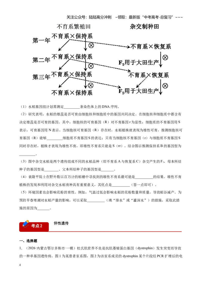 《专题04遗传的基本规律（学生版）_06-生物-高考总复习_专项复习_2026年-生物高考专项复习_2026年高考生物一模试题分类汇编（黑吉辽蒙专用）-G238_2026版》第4页预览