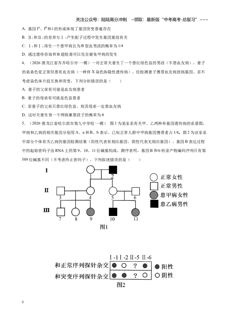 《专题04遗传的基本规律（学生版）_06-生物-高考总复习_专项复习_2026年-生物高考专项复习_2026年高考生物一模试题分类汇编（黑吉辽蒙专用）-G238_2026版》第6页预览