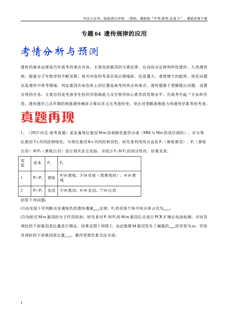 《专题04遗传规律的应用（河北卷）（原卷版）_06-生物-高考总复习_专项复习_2024年_2024年高考生物考前大题秒杀技巧及专项训练_资料》第1页预览