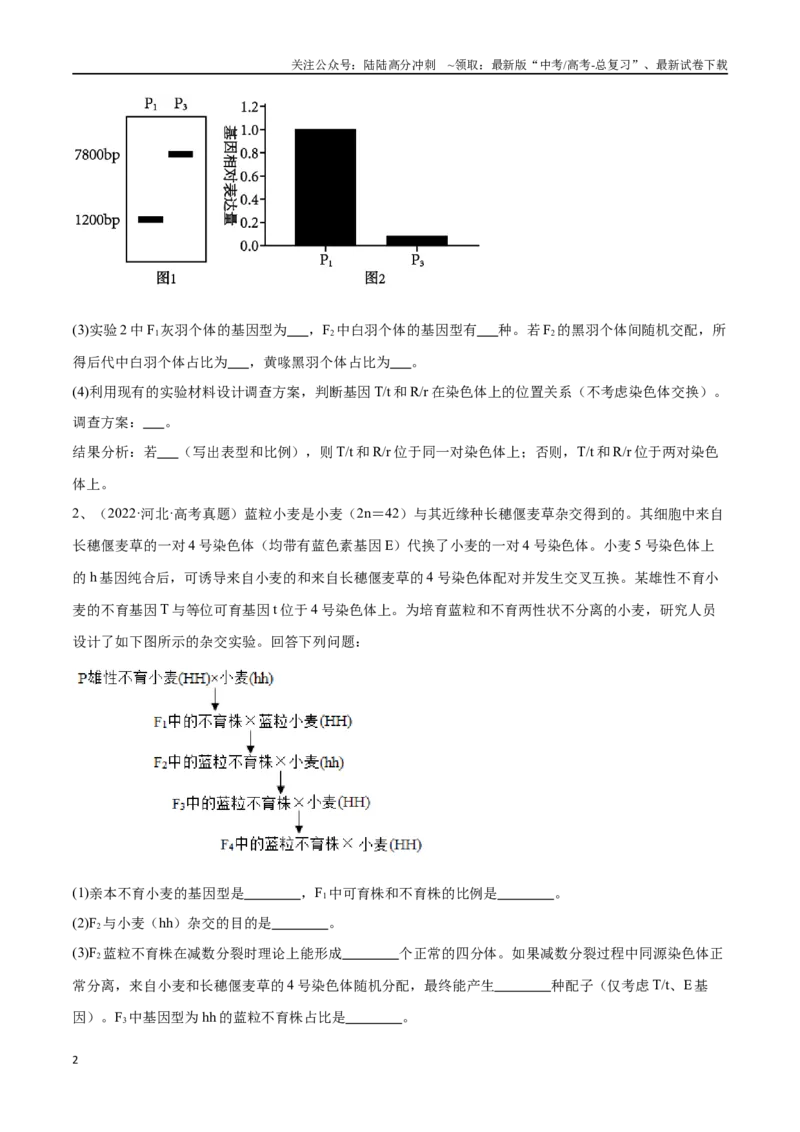 《专题04遗传规律的应用（河北卷）（原卷版）_06-生物-高考总复习_专项复习_2024年_2024年高考生物考前大题秒杀技巧及专项训练_资料》第2页预览