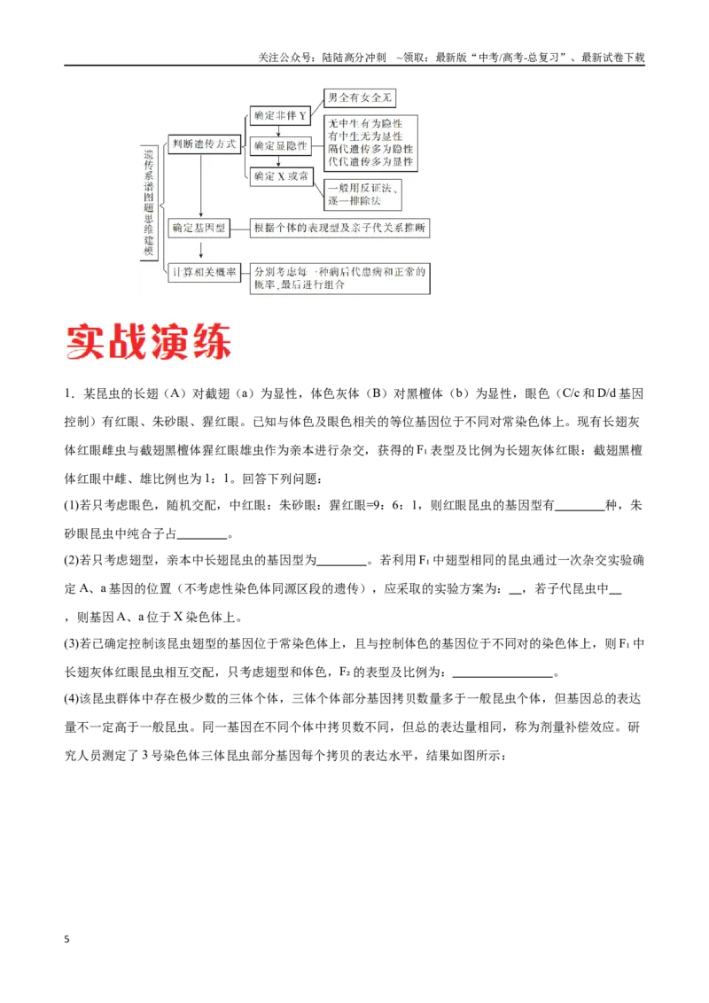 《专题04遗传规律的应用（河北卷）（原卷版）_06-生物-高考总复习_专项复习_2024年_2024年高考生物考前大题秒杀技巧及专项训练_资料》第5页预览