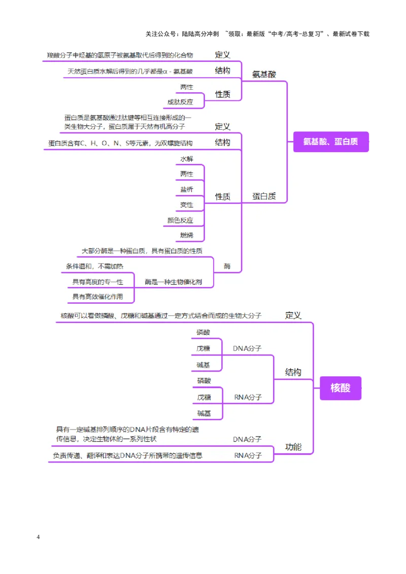 《第04讲生物大分子、合成高分子（讲义）（教师版）_05-化学-高考总复习_一轮复习_2025年_2025年高考化学一轮复习讲义+练习+课件（新教材新高考）_第九章有机化学基础》第4页预览