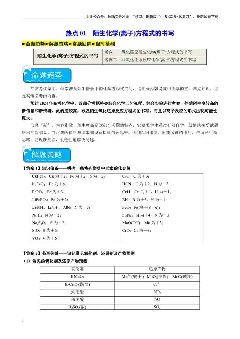 《热点01陌生化学(离子)方程式的书写-（教师版）_05-化学-高考总复习_专项复习_2024年_2024年高考化学热点·重点·难点专练（新高考专用）》第1页预览