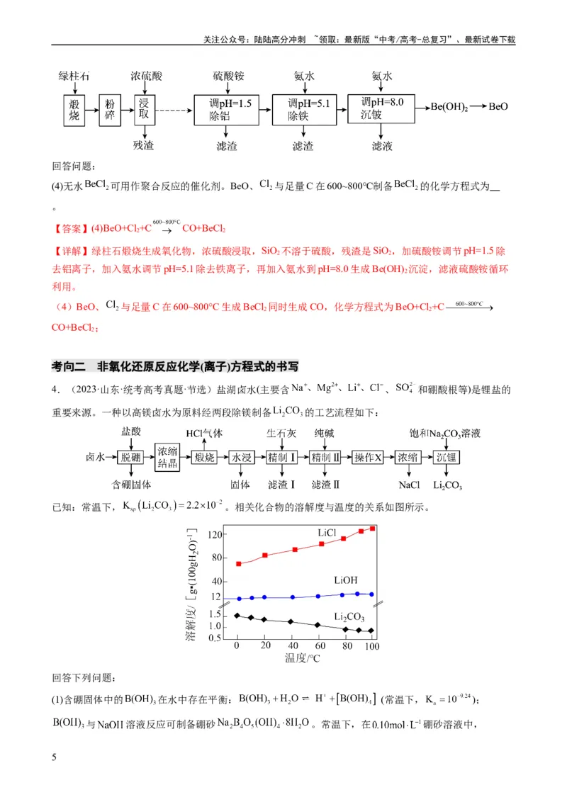 《热点01陌生化学(离子)方程式的书写-（教师版）_05-化学-高考总复习_专项复习_2024年_2024年高考化学热点·重点·难点专练（新高考专用）》第5页预览