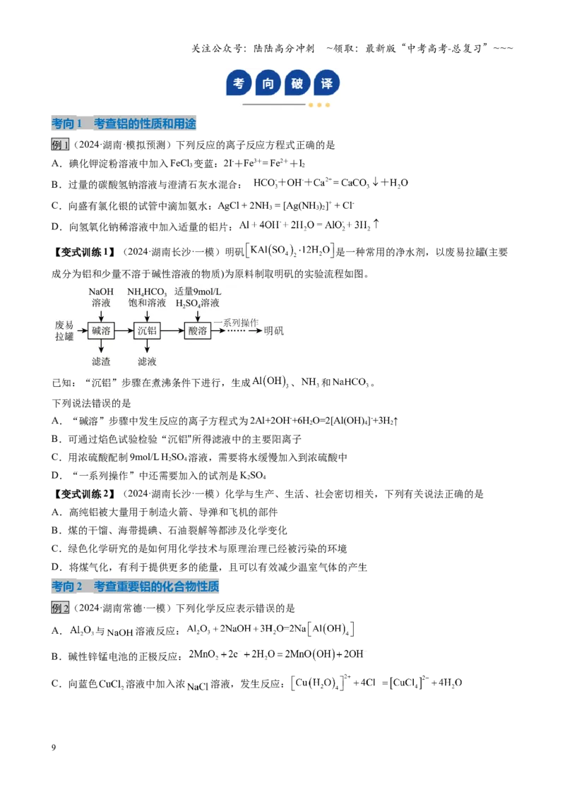 《第03讲铝及其重要化合物（复习讲义）（湖南专用）（学生版）_05-化学-高考总复习_一轮复习_2026年-化学高考一轮复习_2026年高考化学一轮课件+讲义+练习（湖南专用）-G331》第9页预览