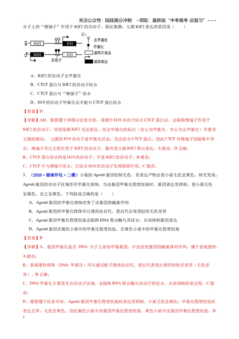 《专题05遗传的物质基础（教师版）_06-生物-高考总复习_专项复习_2026年-生物高考专项复习_2026年高考生物二模试题分类汇编（湖南专用）-G292_2026版》第3页预览