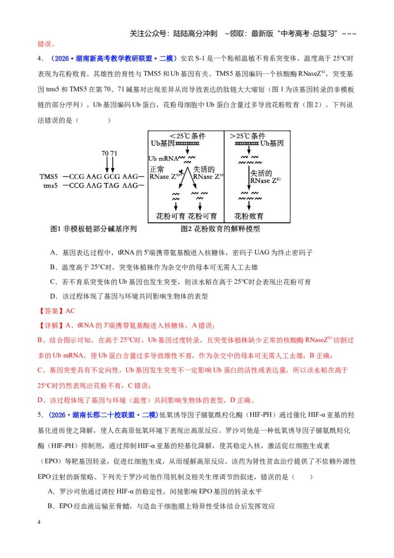 《专题05遗传的物质基础（教师版）_06-生物-高考总复习_专项复习_2026年-生物高考专项复习_2026年高考生物二模试题分类汇编（湖南专用）-G292_2026版》第4页预览