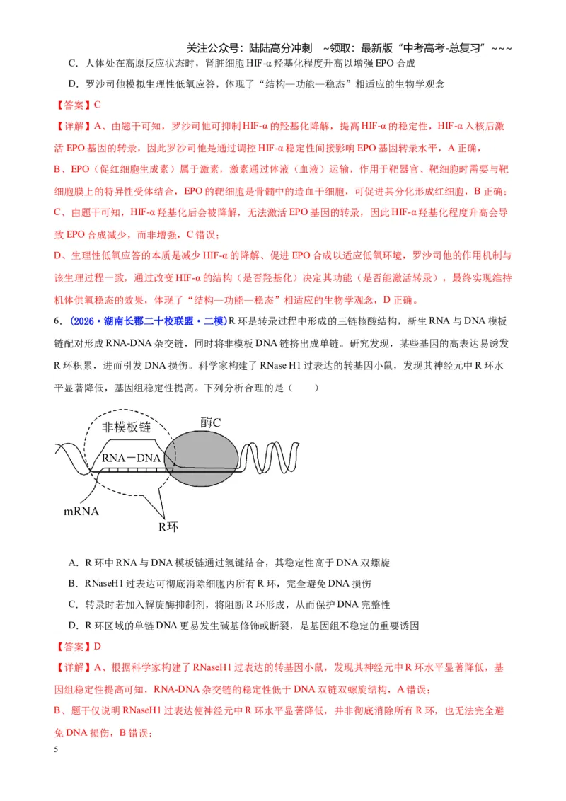 《专题05遗传的物质基础（教师版）_06-生物-高考总复习_专项复习_2026年-生物高考专项复习_2026年高考生物二模试题分类汇编（湖南专用）-G292_2026版》第5页预览