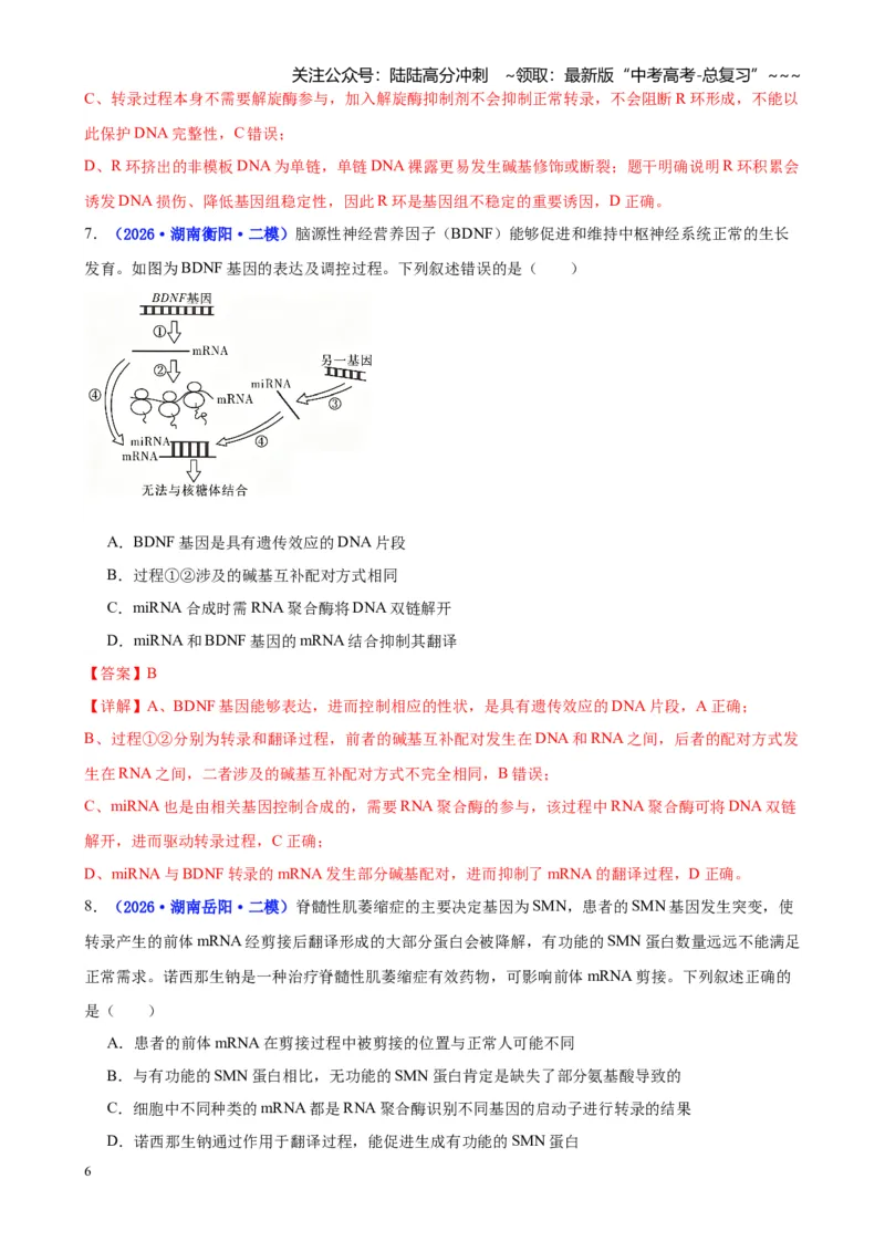 《专题05遗传的物质基础（教师版）_06-生物-高考总复习_专项复习_2026年-生物高考专项复习_2026年高考生物二模试题分类汇编（湖南专用）-G292_2026版》第6页预览