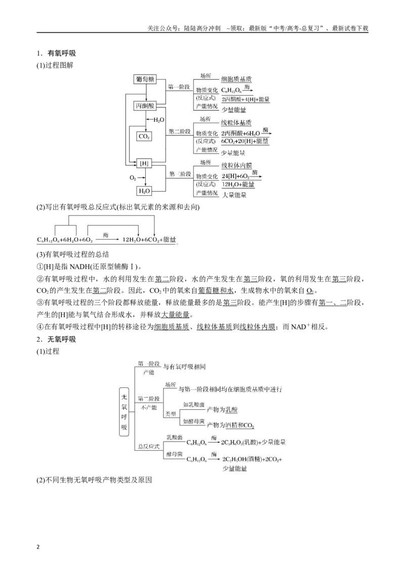 《专题05细胞呼吸（原卷版）_06-生物-高考总复习_专项复习_2024年_2024年高考生物经典小题必刷_资料》第2页预览