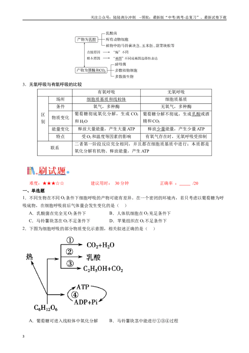 《专题05细胞呼吸（原卷版）_06-生物-高考总复习_专项复习_2024年_2024年高考生物经典小题必刷_资料》第3页预览