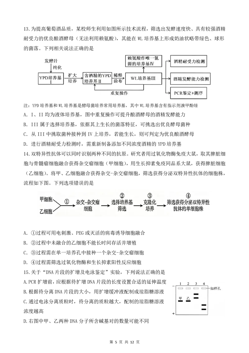 《高三生物--山东师大附中2026.6高考考前打靶卷_2024-2027高三（6-6月题库）_2026年06月高三试卷_260603山东师范大学附属中学2023级高三高考前适应性训练（全科）》第5页预览