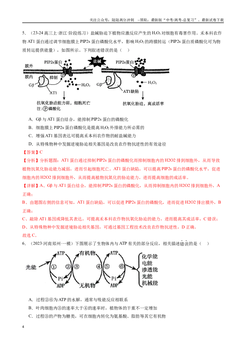 《专题03酶与ATP（解析版）_06-生物-高考总复习_专项复习_2024年_2024年高考生物重难压轴题型考前终极押题_资料》第4页预览