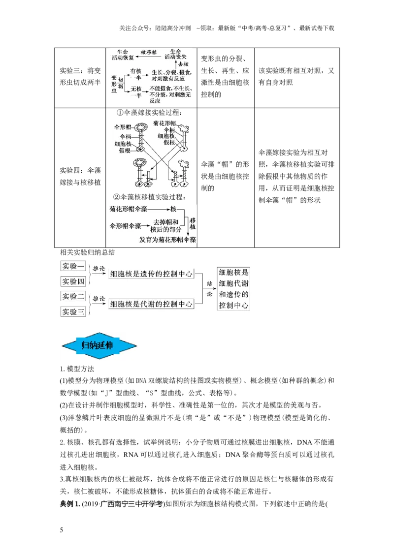 《专题04细胞膜和细胞核（串讲）（解析版）_06-生物-高考总复习_一轮复习_2024年_2024年高考生物一轮复习串讲精练知识点梳理练习题_串讲》第5页预览