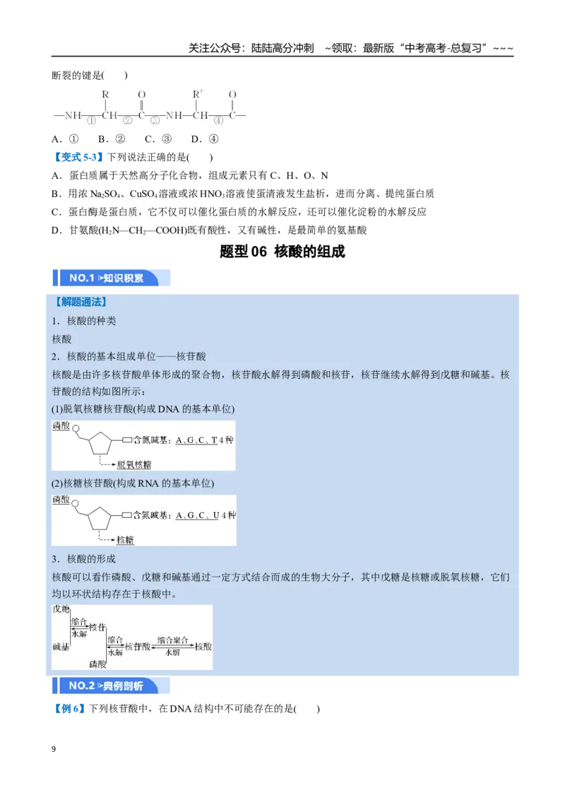 《第04讲生物大分子、合成高分子（举一反三讲义，10大题型）（学生版）_05-化学-高考总复习_一轮复习_2026年-化学高考一轮复习_2026年高考化学一轮复习举一反三（新高考通用）-G53_资料》第9页预览