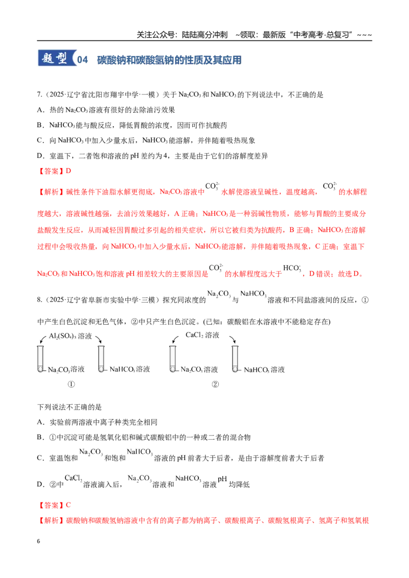 《第01讲钠及其重要化合物（专项训练）（黑吉辽蒙专用）（教师版）_05-化学-高考总复习_一轮复习_2026年-化学高考一轮复习_2026年高考化学一轮课件+讲义+练习（黑吉辽蒙专用）-G330》第6页预览