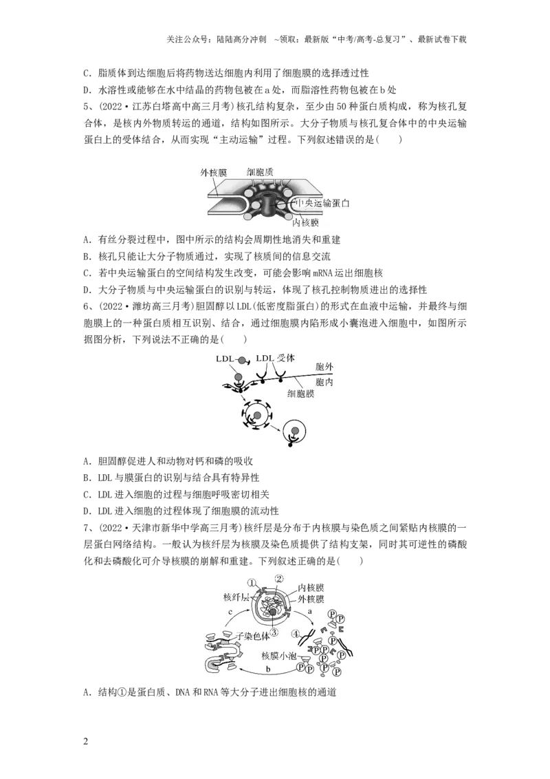 《专题04细胞膜和细胞核（精练）（原卷版）_06-生物-高考总复习_一轮复习_2024年_2024年高考生物一轮复习串讲精练知识点梳理练习题_精练》第2页预览