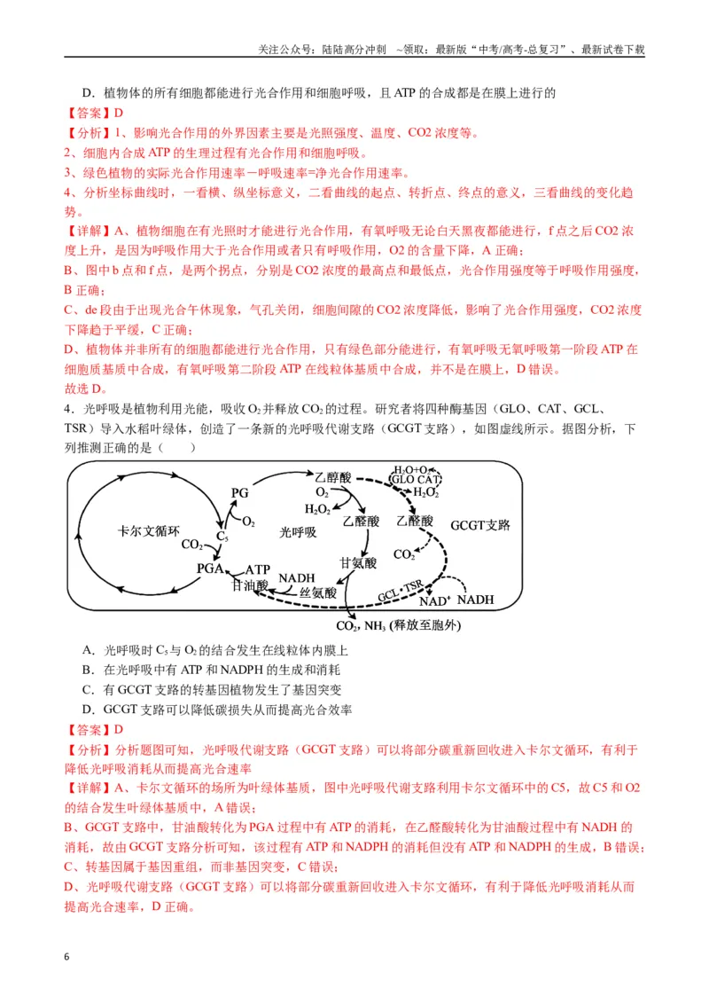 《专题06光合作用（解析版）_06-生物-高考总复习_专项复习_2024年_2024年高考生物经典小题必刷_资料》第6页预览