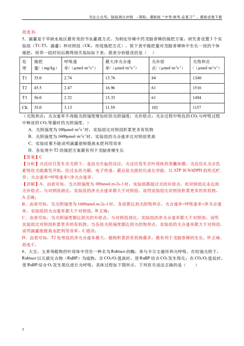 《专题06光合作用（解析版）_06-生物-高考总复习_专项复习_2024年_2024年高考生物经典小题必刷_资料》第7页预览