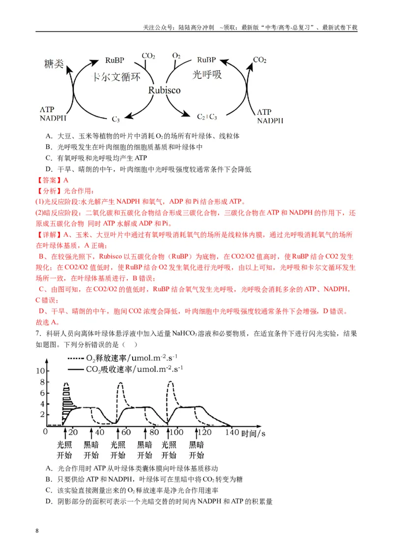 《专题06光合作用（解析版）_06-生物-高考总复习_专项复习_2024年_2024年高考生物经典小题必刷_资料》第8页预览