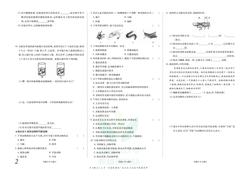 《金状元·提优好卷八年级上册生物人教版_初中全科目同步习题+精品试卷（7-9年级）(1)_25秋初中生物《同步习题+精品试卷》_初中生物试卷（人教版）_《提优好卷》》第3页预览