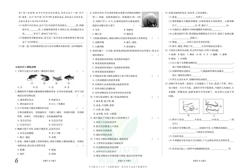 《金状元·提优好卷八年级上册生物人教版_初中全科目同步习题+精品试卷（7-9年级）(1)_25秋初中生物《同步习题+精品试卷》_初中生物试卷（人教版）_《提优好卷》》第7页预览