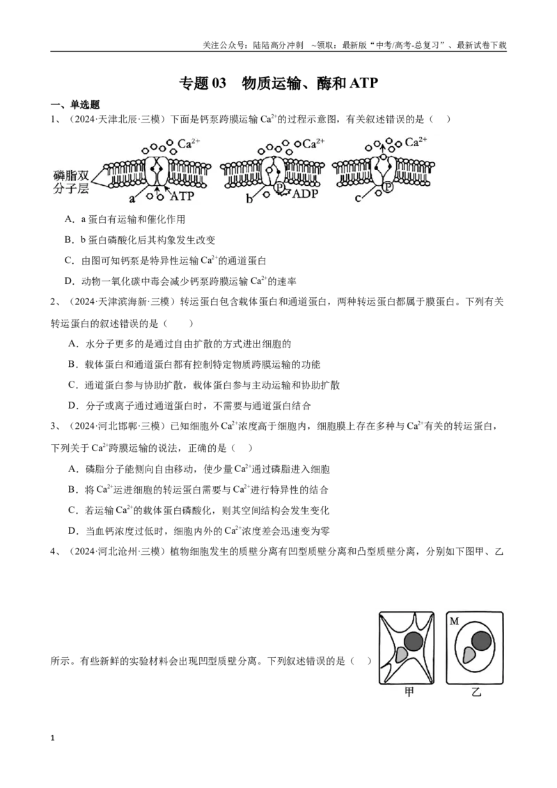 《专题03物质运输、酶和ATP（原卷版）_06-生物-高考总复习_专项复习_2025年_2024年高考三模试题分类汇编生物2新高考通用》第1页预览