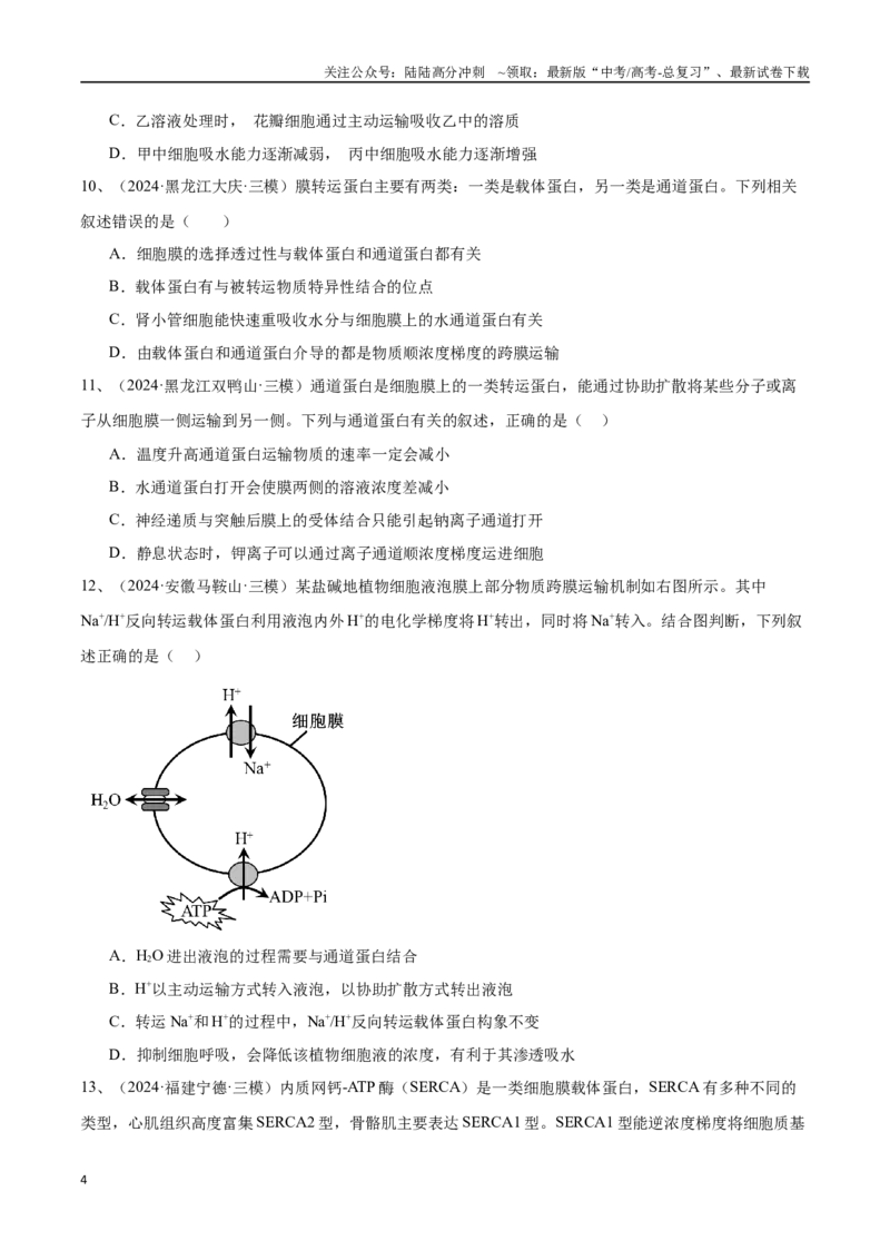 《专题03物质运输、酶和ATP（原卷版）_06-生物-高考总复习_专项复习_2025年_2024年高考三模试题分类汇编生物2新高考通用》第4页预览