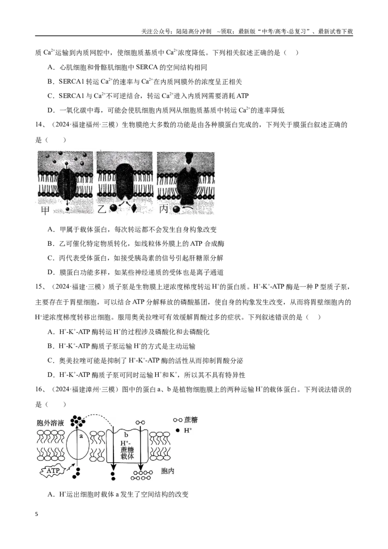 《专题03物质运输、酶和ATP（原卷版）_06-生物-高考总复习_专项复习_2025年_2024年高考三模试题分类汇编生物2新高考通用》第5页预览