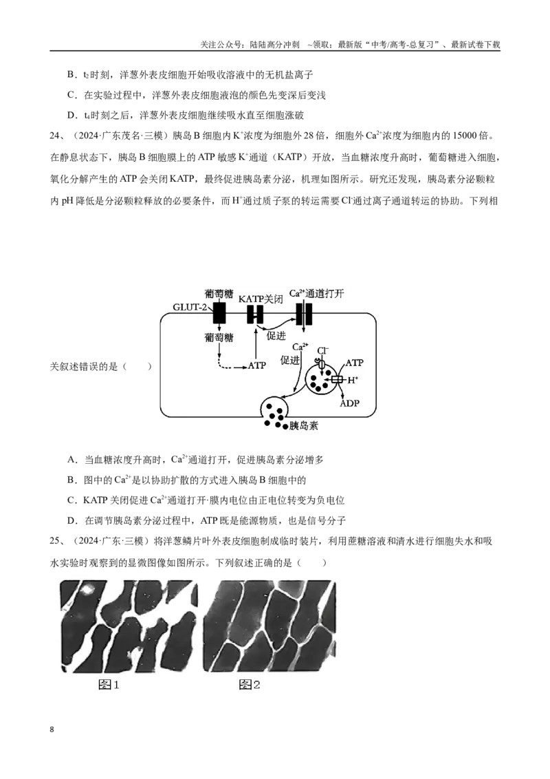 《专题03物质运输、酶和ATP（原卷版）_06-生物-高考总复习_专项复习_2025年_2024年高考三模试题分类汇编生物2新高考通用》第8页预览