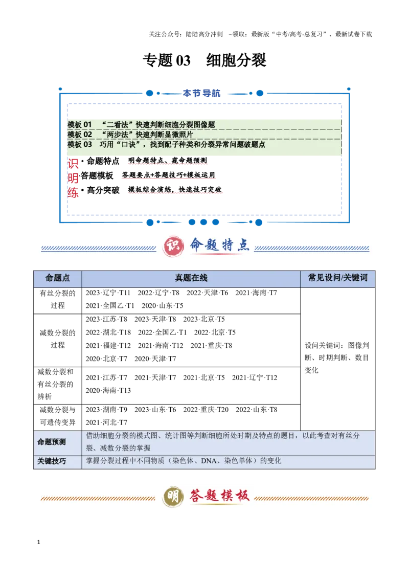 《专题03细胞分裂（教师版）_06-生物-高考总复习_专项复习_2025年_2025年高考生物答题技巧与答题模板（全国通用）》第1页预览