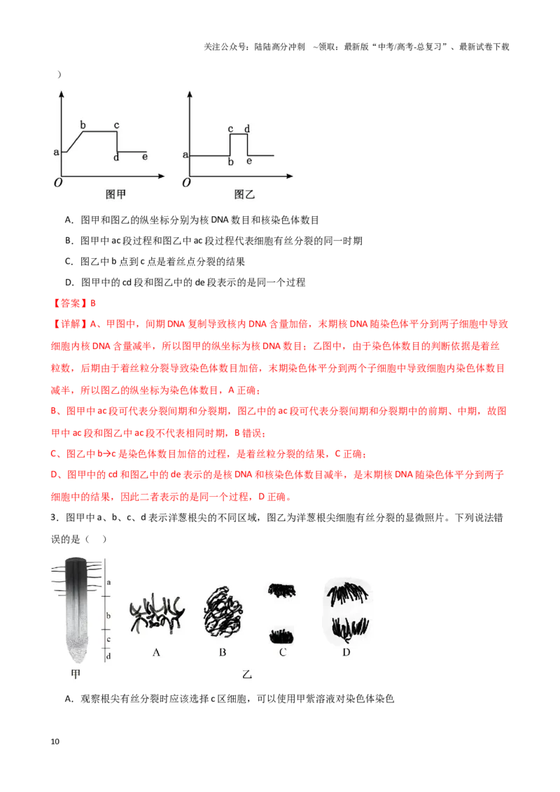 《专题03细胞分裂（教师版）_06-生物-高考总复习_专项复习_2025年_2025年高考生物答题技巧与答题模板（全国通用）》第10页预览