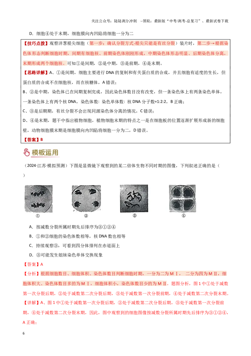 《专题03细胞分裂（教师版）_06-生物-高考总复习_专项复习_2025年_2025年高考生物答题技巧与答题模板（全国通用）》第6页预览