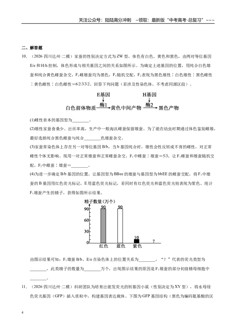 《专题04遗传的基本规律（2大考点）（学生版）_06-生物-高考总复习_专项复习_2026年-生物高考专项复习_2026年高考生物二模试题分类汇编（四川专用）-G282_2026版》第4页预览