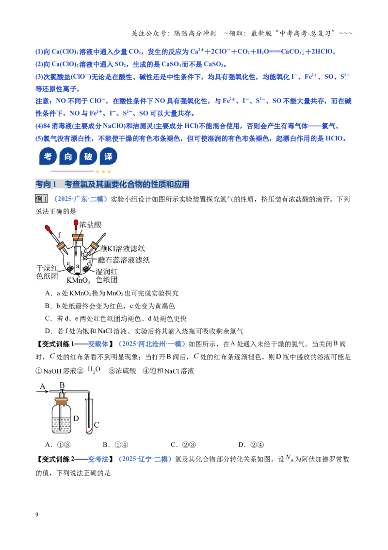 《第01讲氯及其重要化合物（复习讲义）（福建专用）（学生版）_05-化学-高考总复习_一轮复习_2026年-化学高考一轮复习_2026年高考化学一轮课件+讲义+练习（福建专用）-G328》第9页预览