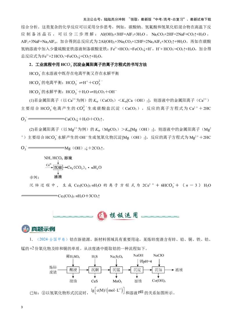 《模板02工艺流程中陌生方程式的书写(解析版)_05-化学-高考总复习_专项复习_2025年_2025年高考化学答题技巧与答题模板（全国通用）》第3页预览