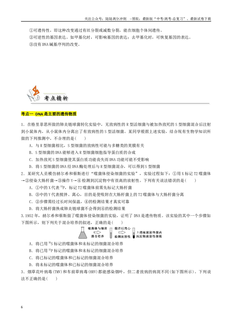 《专题05DNA与基因的表达（原卷版）_06-生物-高考总复习_二轮复习_2024年_2024年高考生物二轮复习考点归纳与解题策略新高考_资料》第6页预览