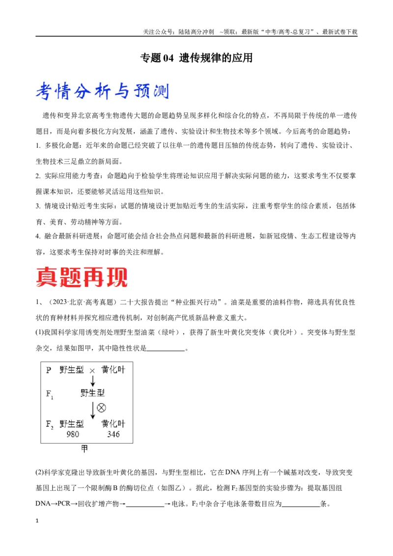 《专题04遗传规律的应用（北京卷）（解析版）_06-生物-高考总复习_专项复习_2024年_2024年高考生物考前大题秒杀技巧及专项训练_资料》第1页预览