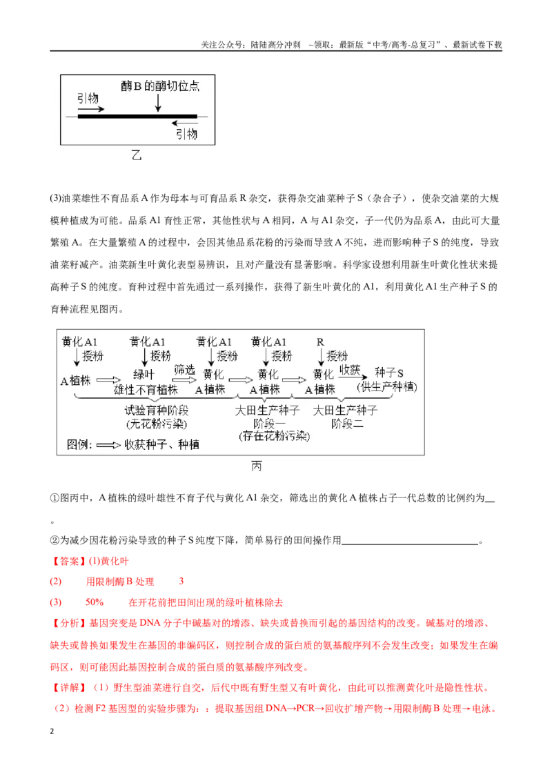 《专题04遗传规律的应用（北京卷）（解析版）_06-生物-高考总复习_专项复习_2024年_2024年高考生物考前大题秒杀技巧及专项训练_资料》第2页预览