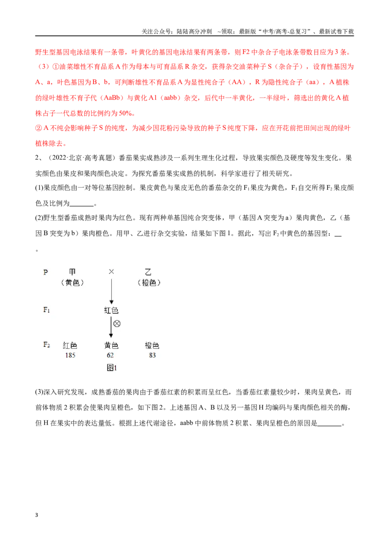 《专题04遗传规律的应用（北京卷）（解析版）_06-生物-高考总复习_专项复习_2024年_2024年高考生物考前大题秒杀技巧及专项训练_资料》第3页预览