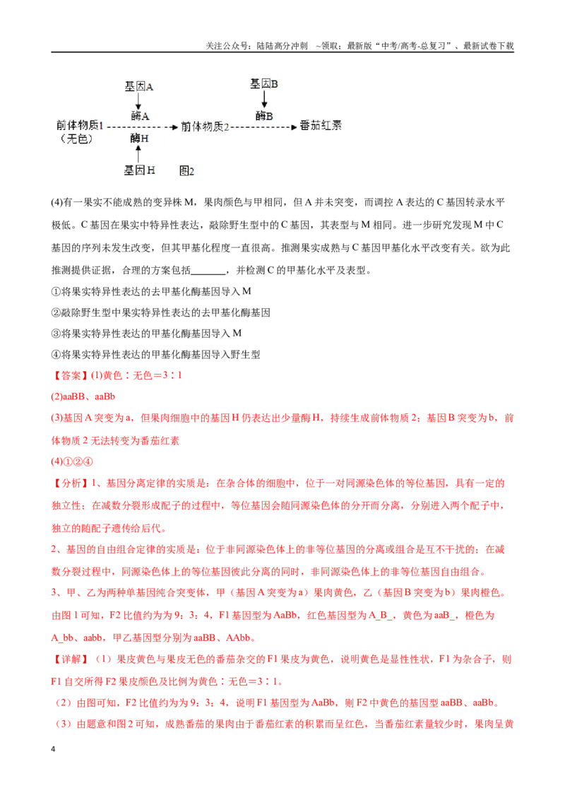 《专题04遗传规律的应用（北京卷）（解析版）_06-生物-高考总复习_专项复习_2024年_2024年高考生物考前大题秒杀技巧及专项训练_资料》第4页预览