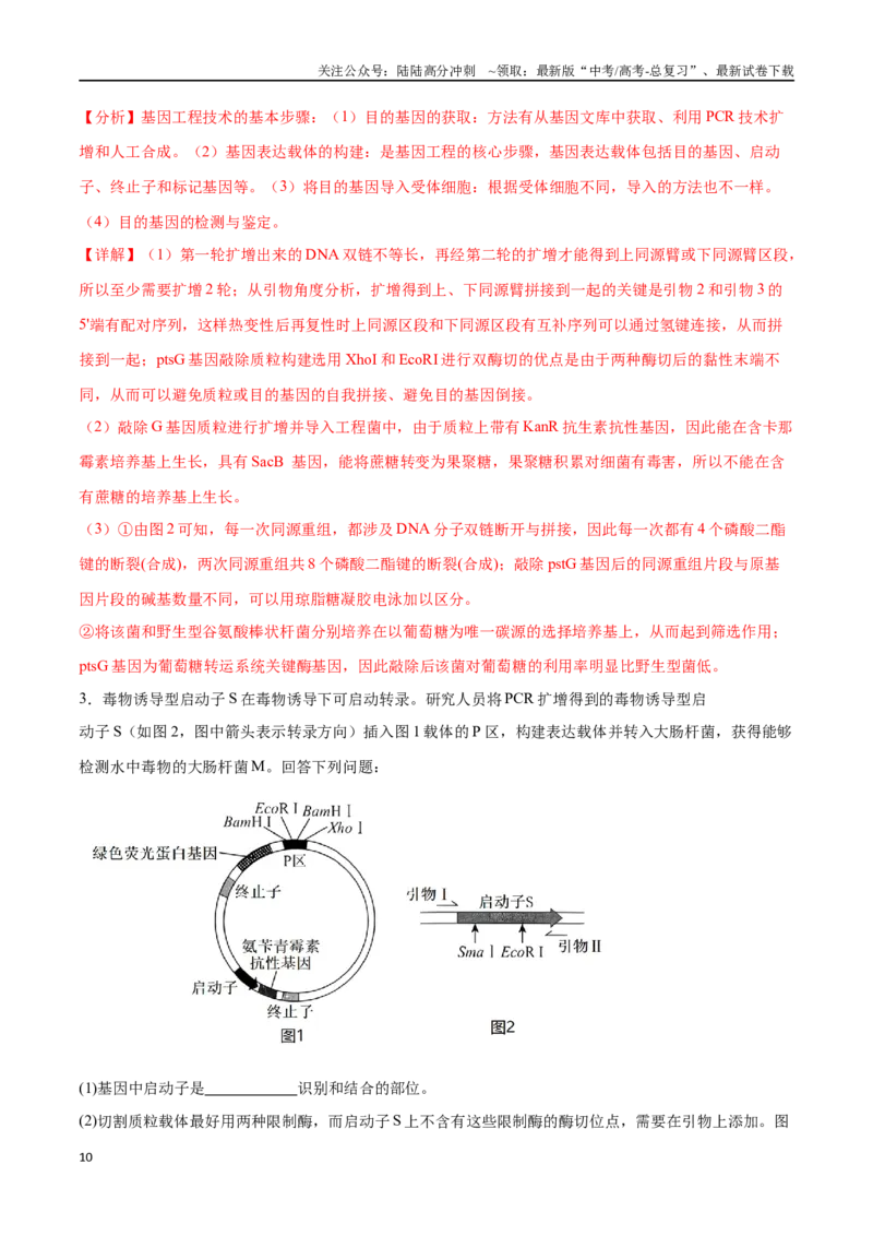 《专题05基因工程（新高考通用）（解析版）_06-生物-高考总复习_专项复习_2024年_2024年高考生物考前大题秒杀技巧及专项训练_资料》第10页预览