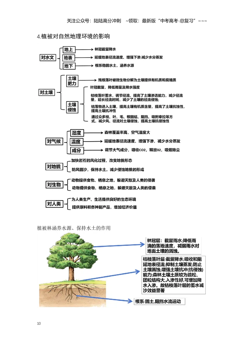 《25.高考地理一轮专题复习——植被与土壤_07-地理-高考总复习_一轮复习_2026年-地理高考一轮复习_2026年高考地理一轮专题复习专项训练-G351_资料》第10页预览