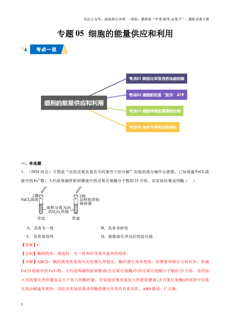 《专题05细胞的能量供应和利用（教师版）_06-生物-高考总复习_专项复习_2025年_2025年高中学业水平合格考生物真题分类汇编（全国通用）》第1页预览