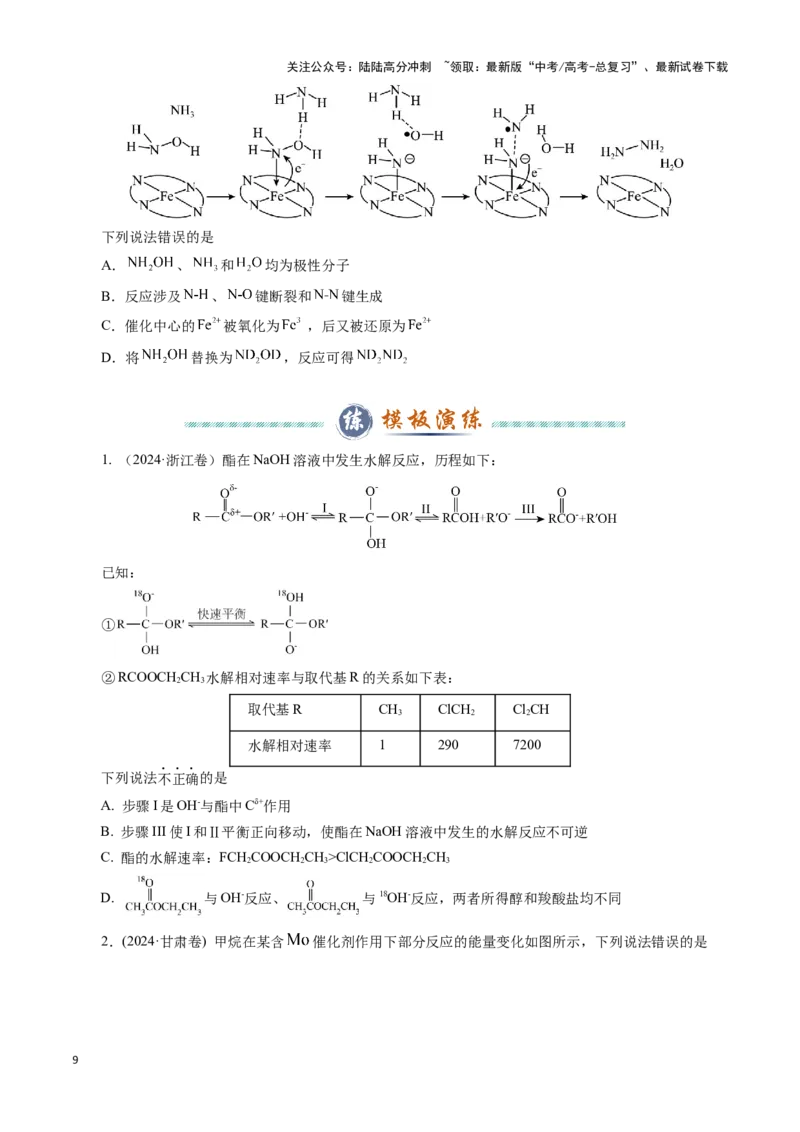 《模板02化学反应机理图像分析(原卷版)_05-化学-高考总复习_专项复习_2025年_2025年高考化学答题技巧与答题模板（全国通用）》第9页预览