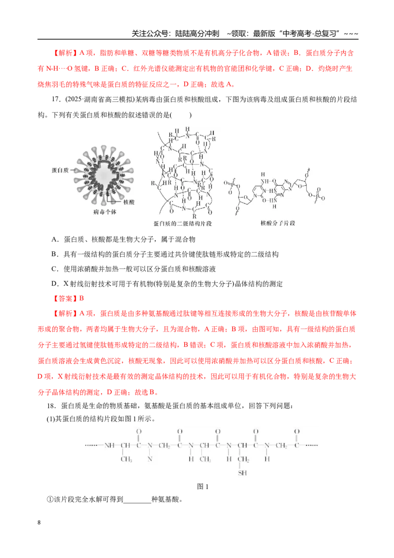 《第04讲生物大分子、合成高分子（专项训练）（全国通用）（教师版）_05-化学-高考总复习_一轮复习_2026年-化学高考一轮复习_2026年高考化学一轮复习讲义+练习+课件（新教材新高考）-G55》第8页预览