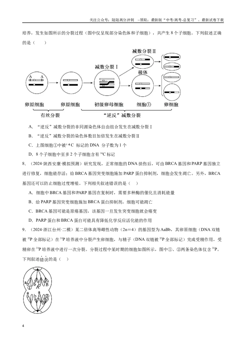 《专题05细胞的生命历程（原卷版）_06-生物-高考总复习_专项复习_2024年_2024年高考生物重难压轴题型考前终极押题_资料》第4页预览