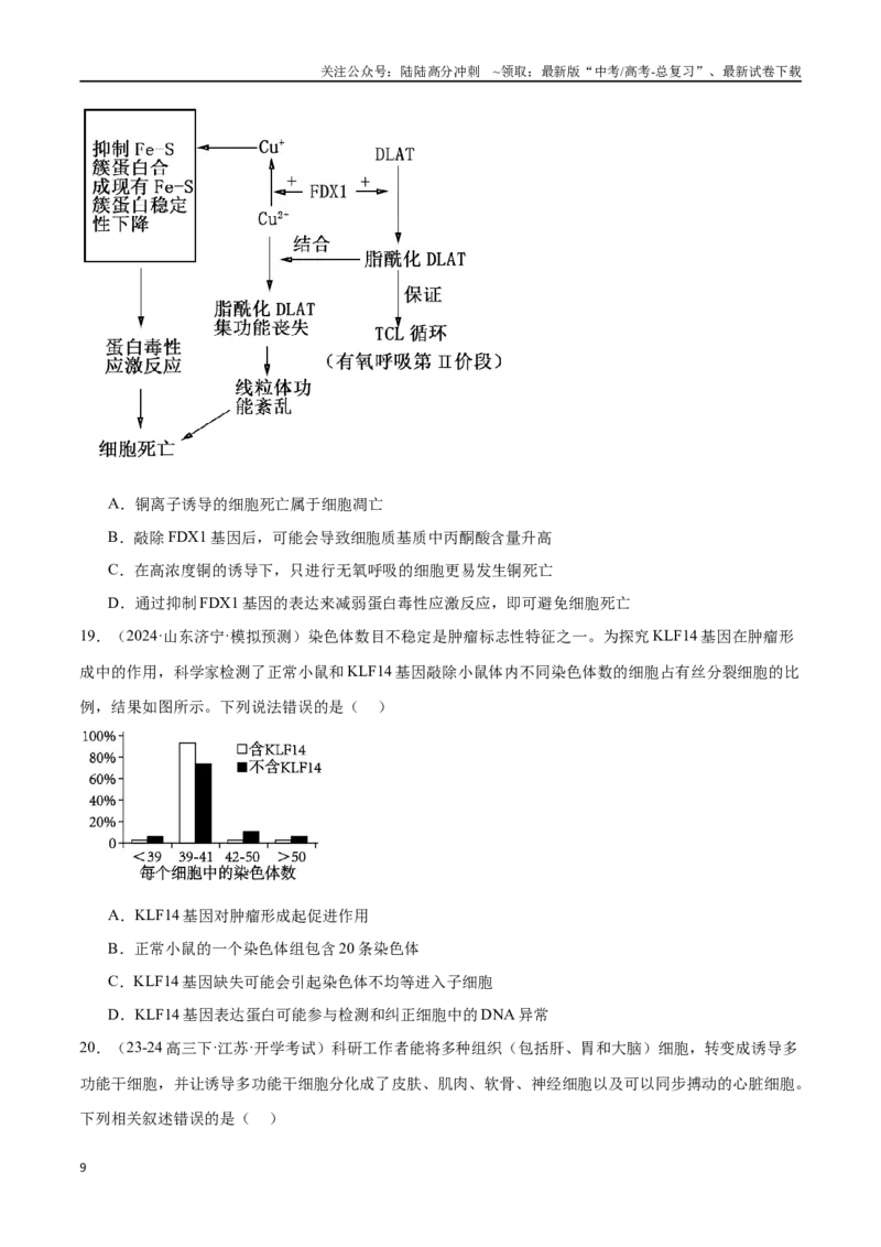 《专题05细胞的生命历程（原卷版）_06-生物-高考总复习_专项复习_2024年_2024年高考生物重难压轴题型考前终极押题_资料》第9页预览