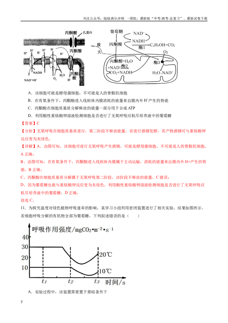 《专题04细胞呼吸和光合作用（选择题60道）（解析版）_06-生物-高考总复习_二轮复习_2024年_2024年高考生物二轮复习选择题大题压轴专项训练_资料》第7页预览