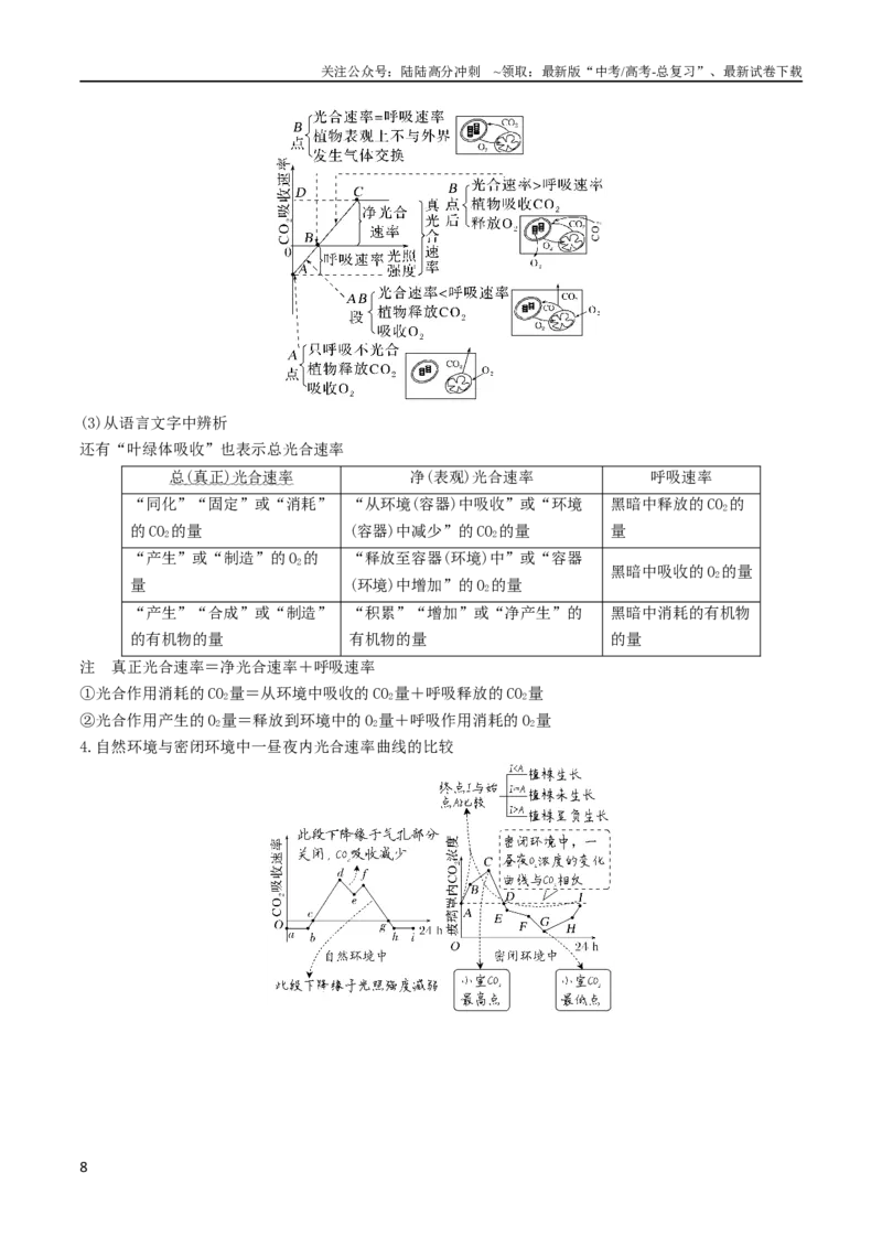 《专题03细胞的能量供应和利用（学生版）_06-生物-高考总复习_专项复习_2024年_2024年高考生物热点·重点·难点专练（新高考专用）》第8页预览